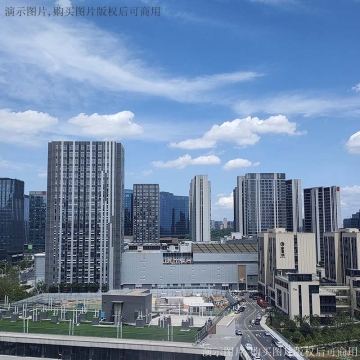 合作要点